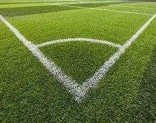 崔康熙力克,强敌,申花击败大,九游娱乐首页,九游娱乐官方网站,九游娱乐平台,九游娱乐