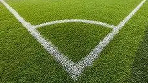 崔康熙力克强敌，申花击败大连挺进足协杯决赛