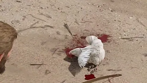 奥勒布克加盟多特蒙德，担任体育总监至2029年